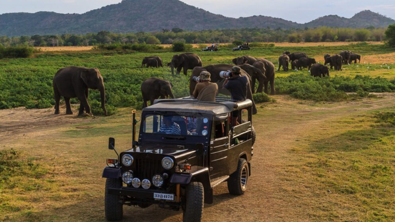 Inträdesbiljett till Yala National Park