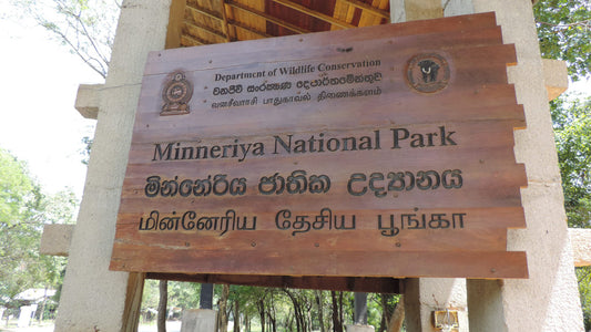 Inträdesbiljett till Minneriya nationalpark