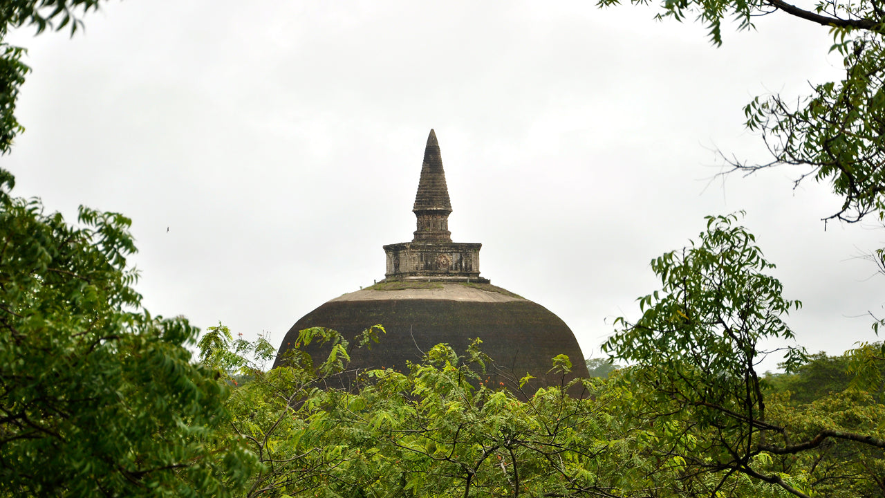 Inträdesbiljetter till Polonnaruwa Ancient City