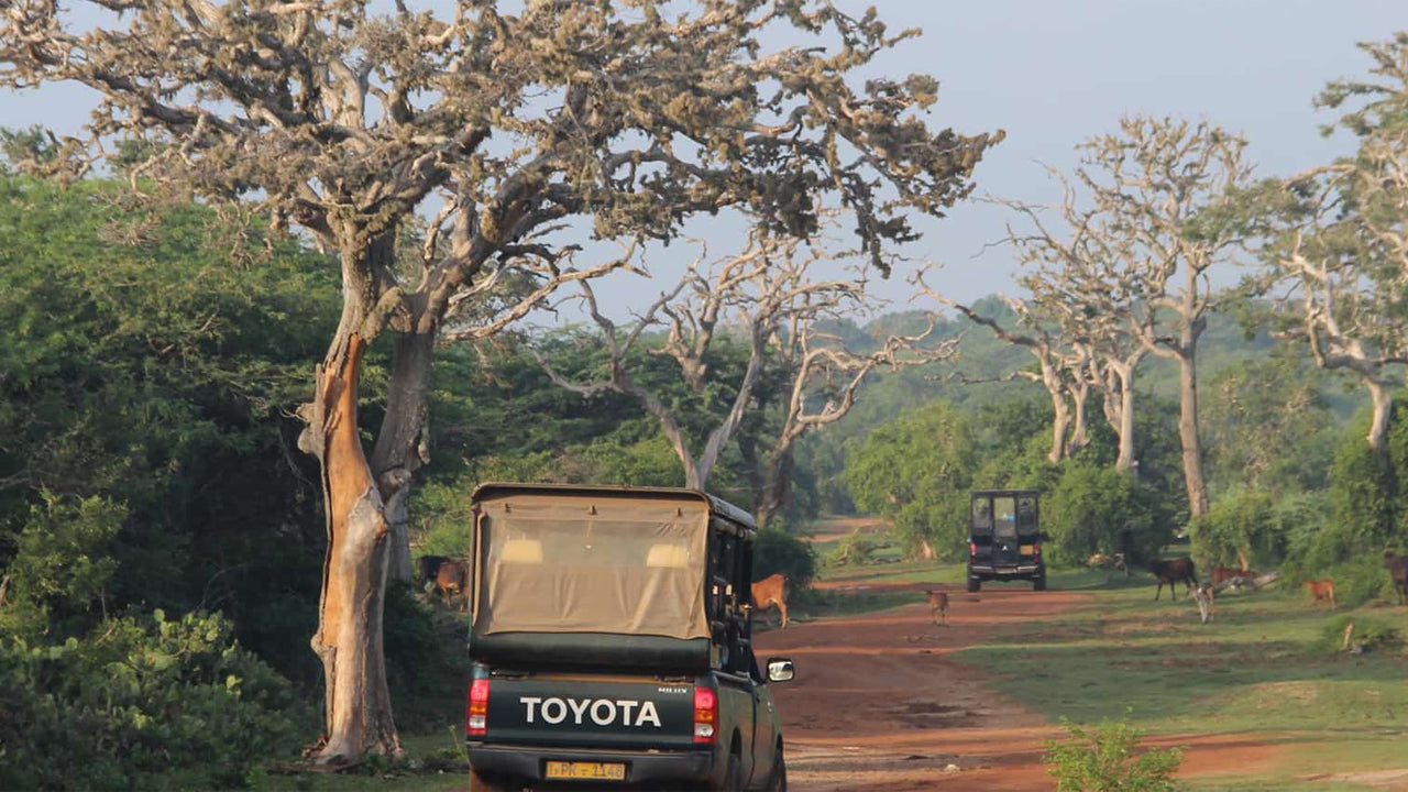 Inträdesbiljetter till Bundala National Park