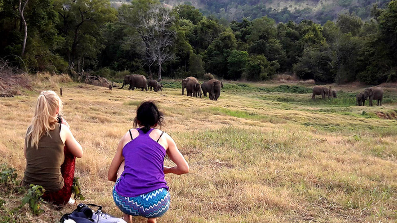 Inträdesbiljetter till Wasgamuwa National Park