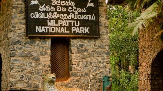 Inträdesbiljetter till Wilpattu National Park