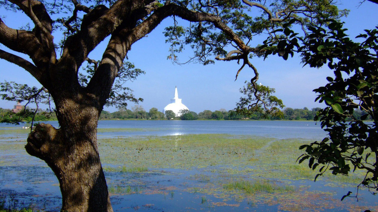 Anuradhapura Sacred Area Entrébiljett