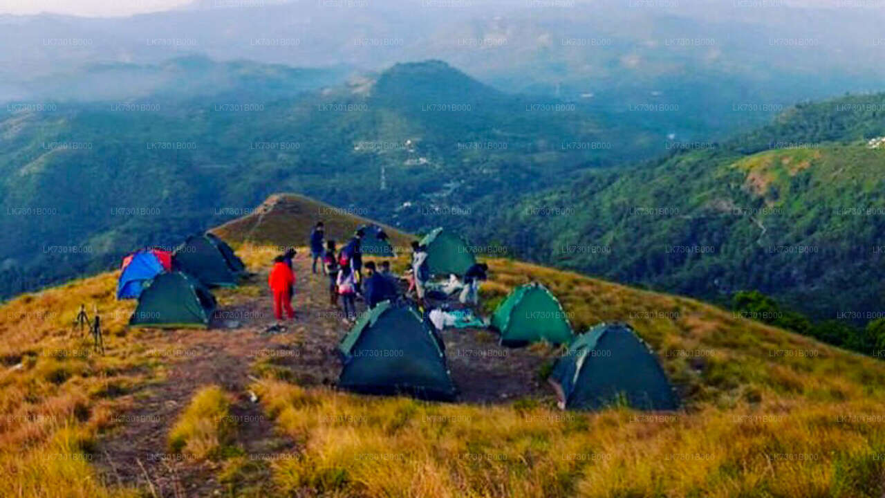 Camping at Wangedikanda and Hike to Bambarakanda Falls from Colombo