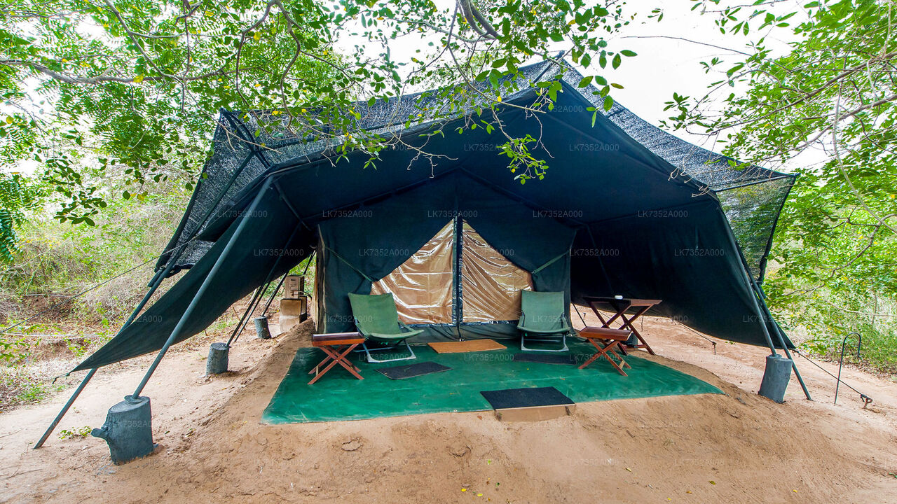 One Night Camping in Wilpattu National Park