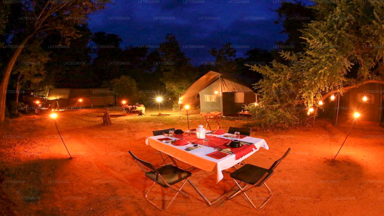 Camping in Wilpattu National Park