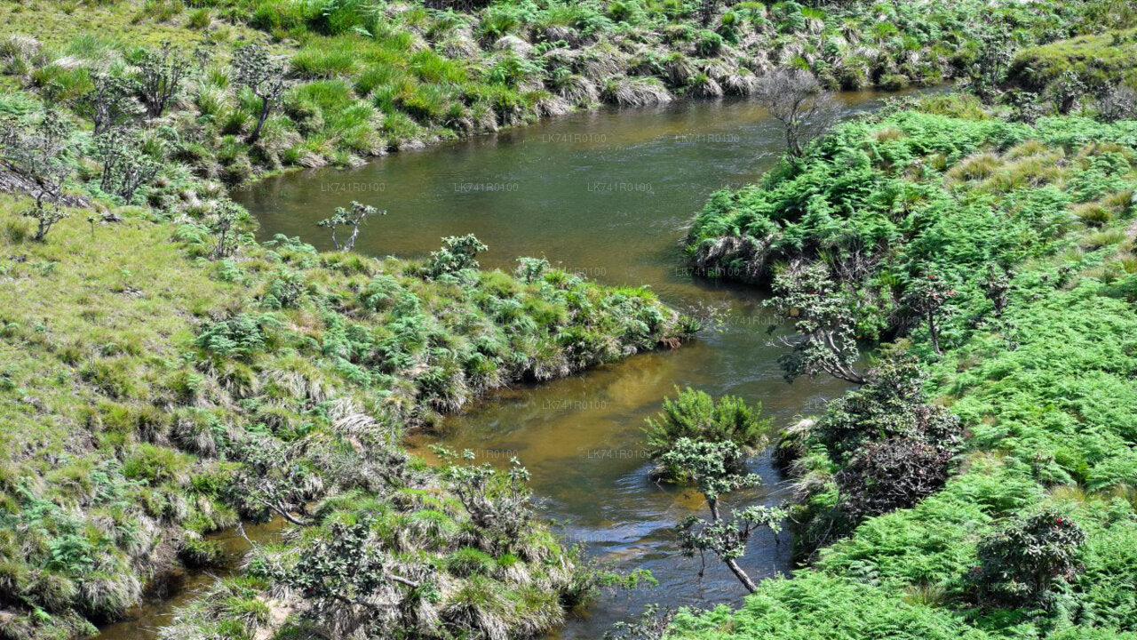 Horton Plains National Park Hike from Nuwara Eliya