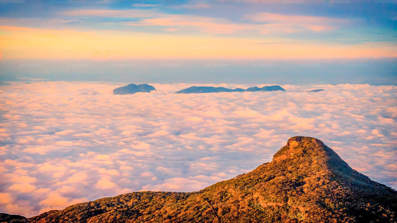 Off-Season Hike to Adam's Peak from Nallathanniya