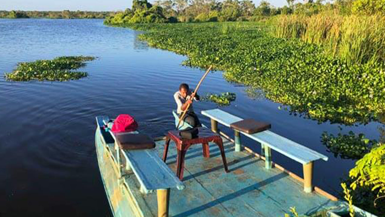 Birdwatching Boat Ride at Kalametiya Sanctuary from Tangalle