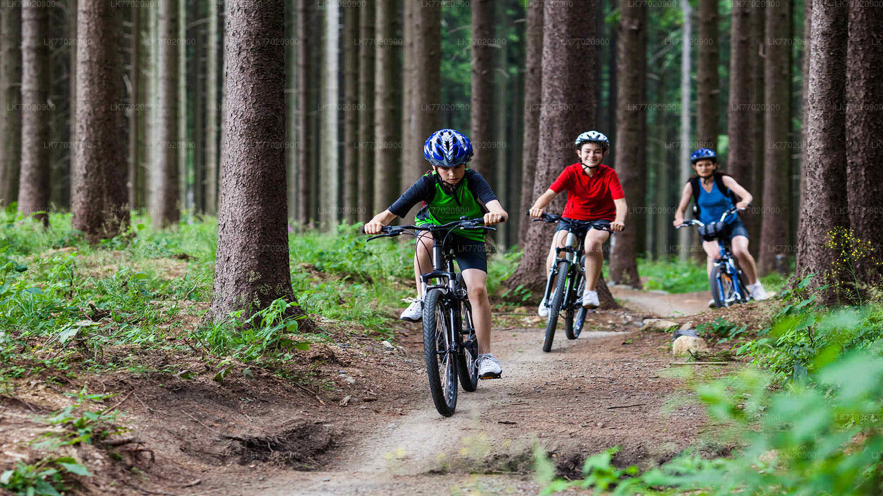 Hunas Falls Cycling Tour from Kandy