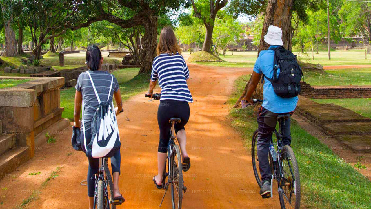 Historic Reservoir Cycling Tour from Ella