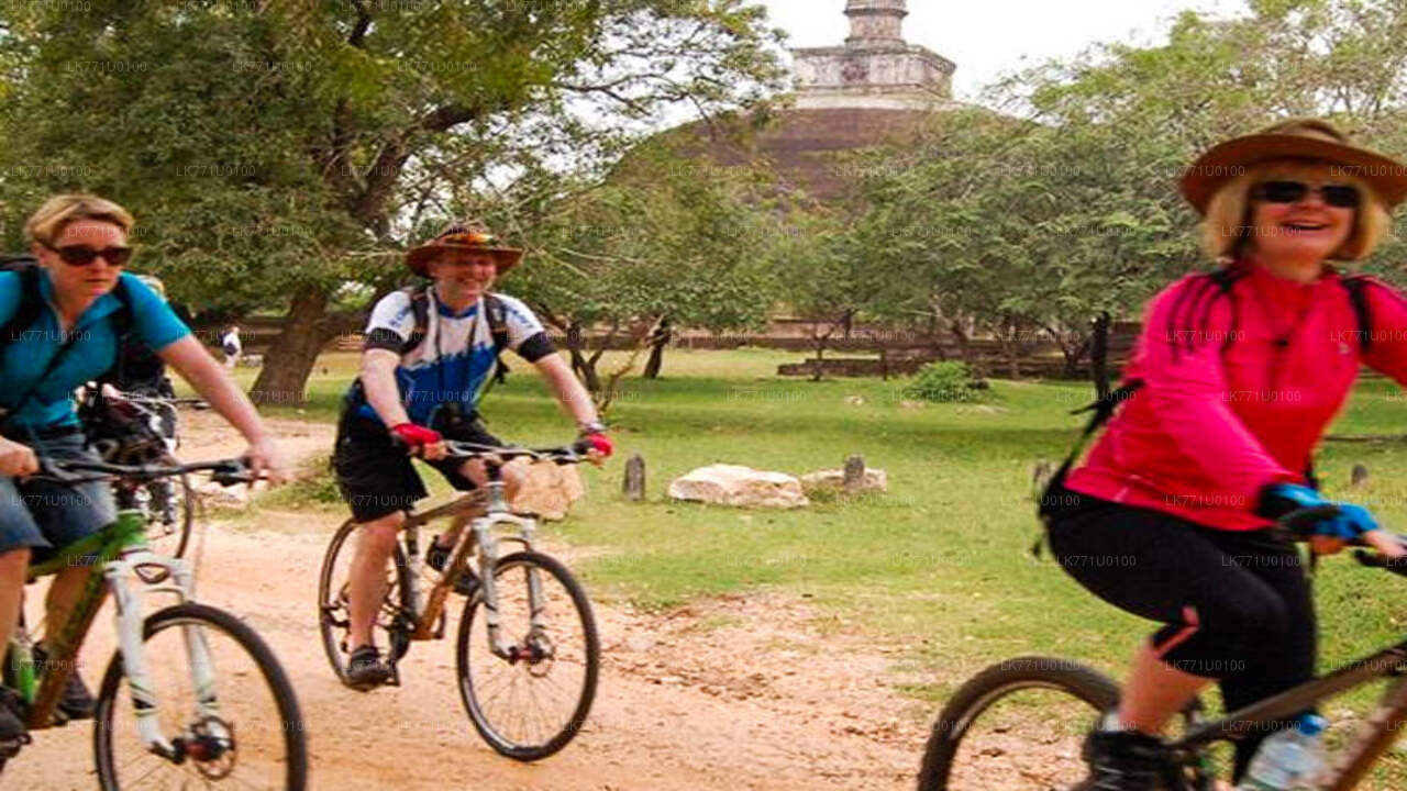 Cykla genom gamla ruiner från Polonnaruwa
