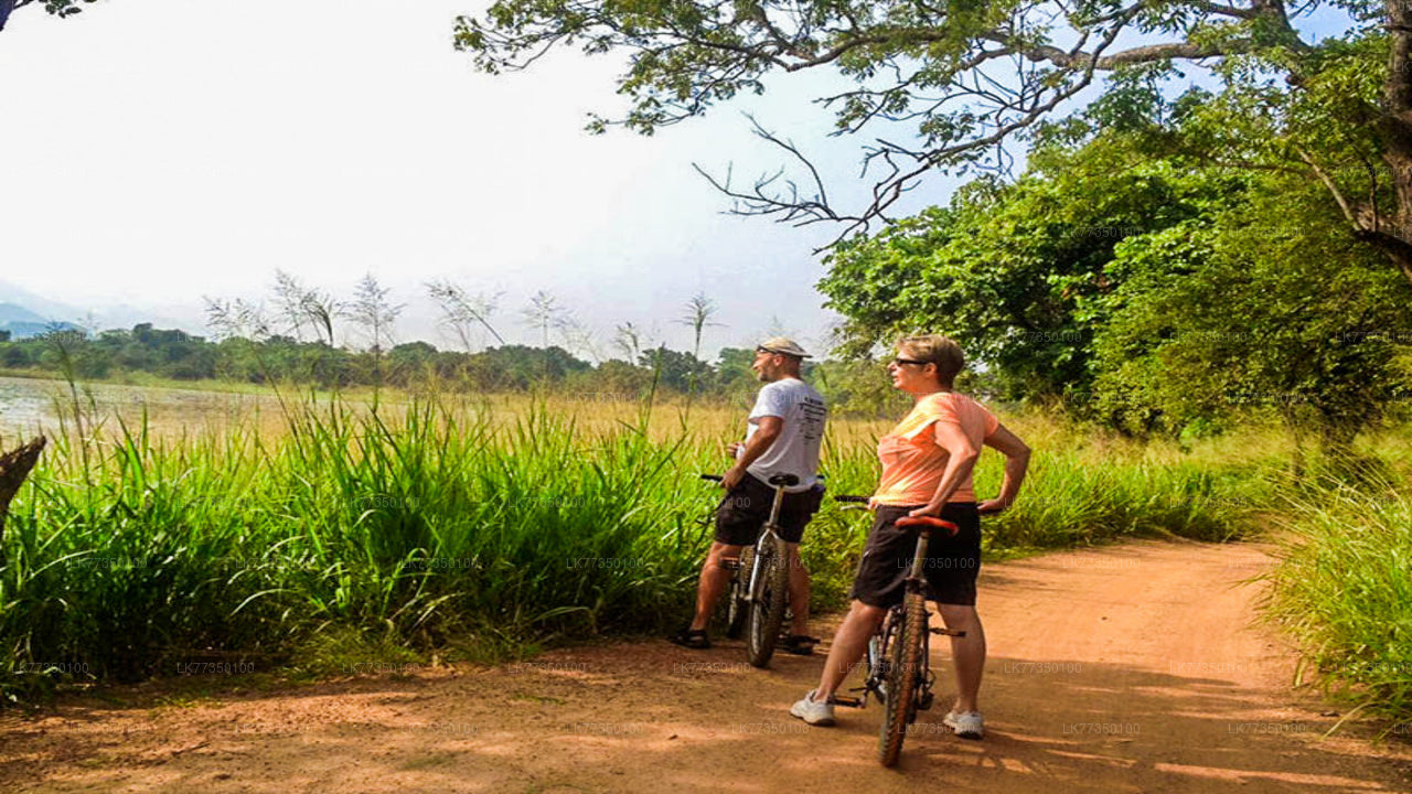 Cycling from Tissamaharama