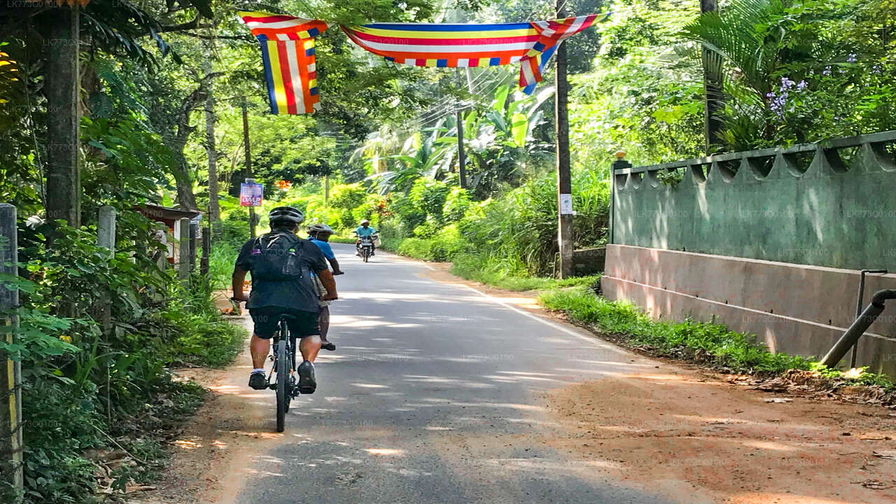 Padavigampola Village Cycling Tour from Pinnawala