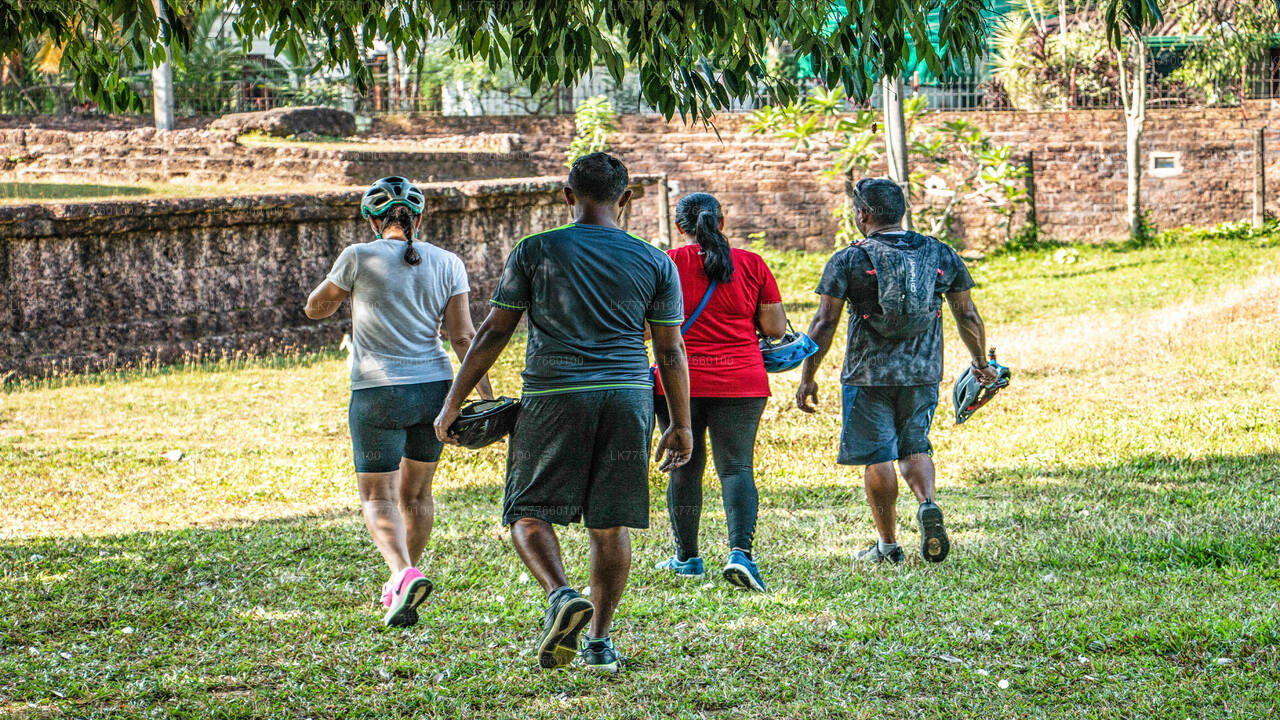 Kingdom Trail Cycling Tour from Mount Lavinia