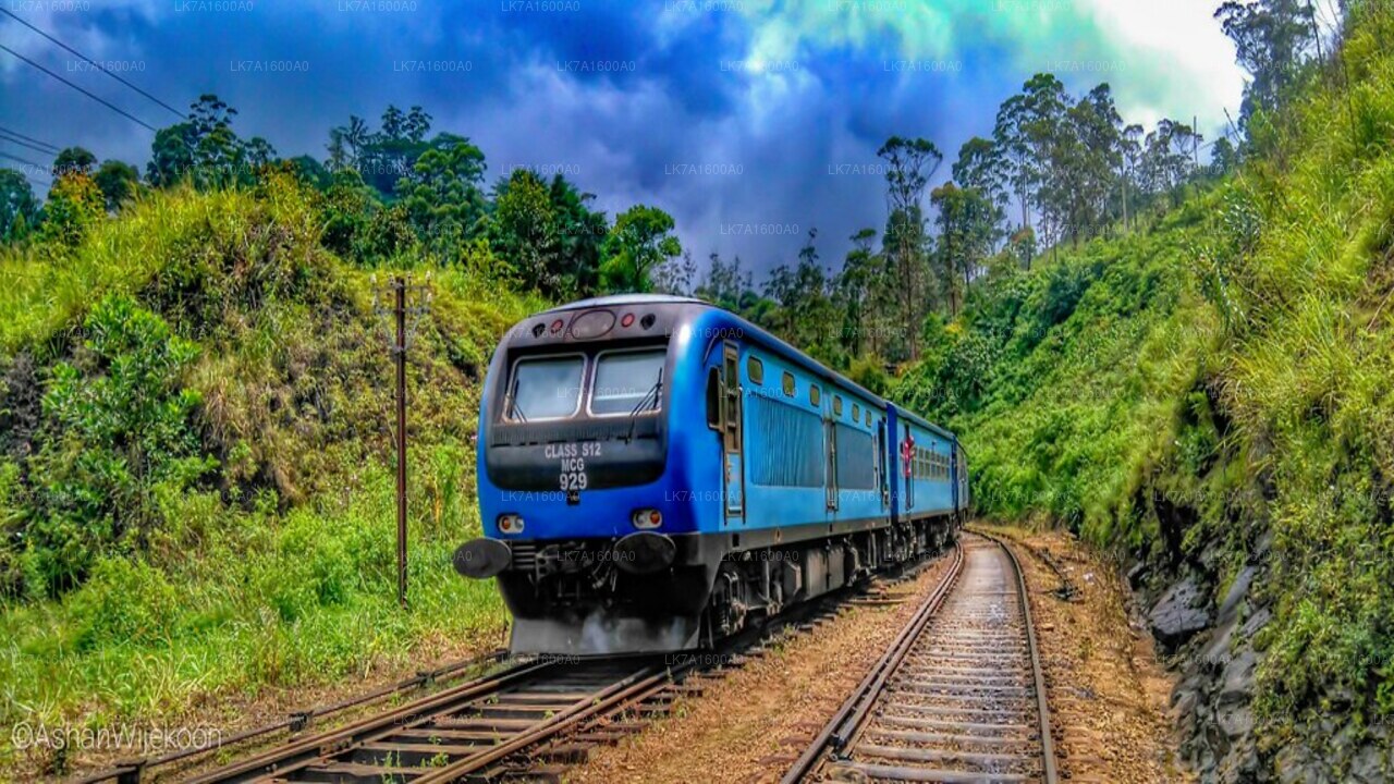 Colombo till Badulla tågresa på (Tåg nr: 1005 ”Podi Menike”)