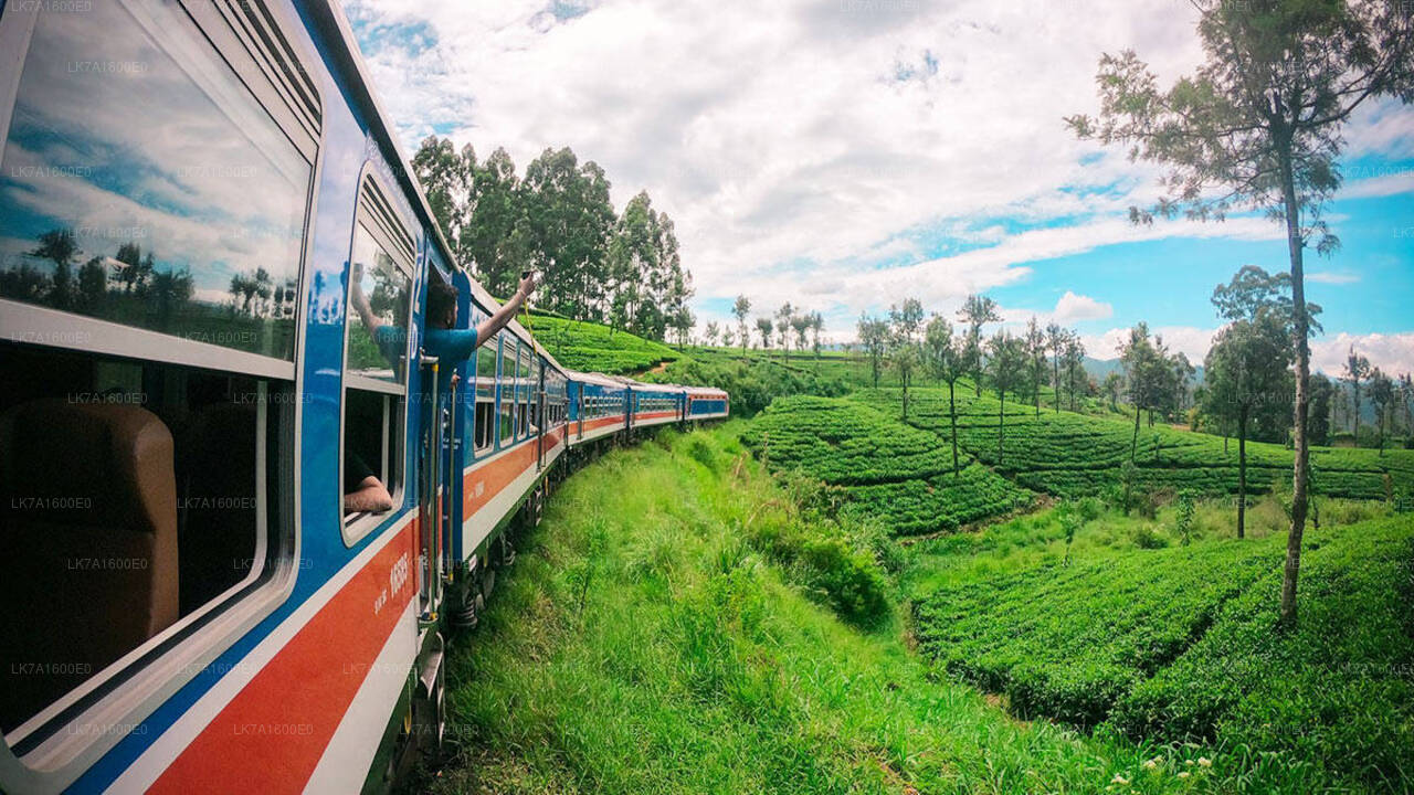 Colombo to Badulla train ride on (Train No: 1001 "Denuwara Menike")