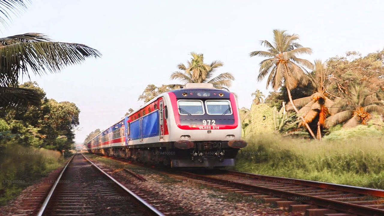 Nanu Oya to Ella train ride on (Train No: 1001 "Denuwara Menike")