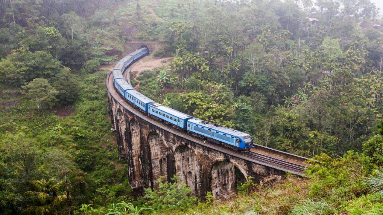 Ella to Nanu Oya train ride on (Train No: 1006 "Podi Menike")