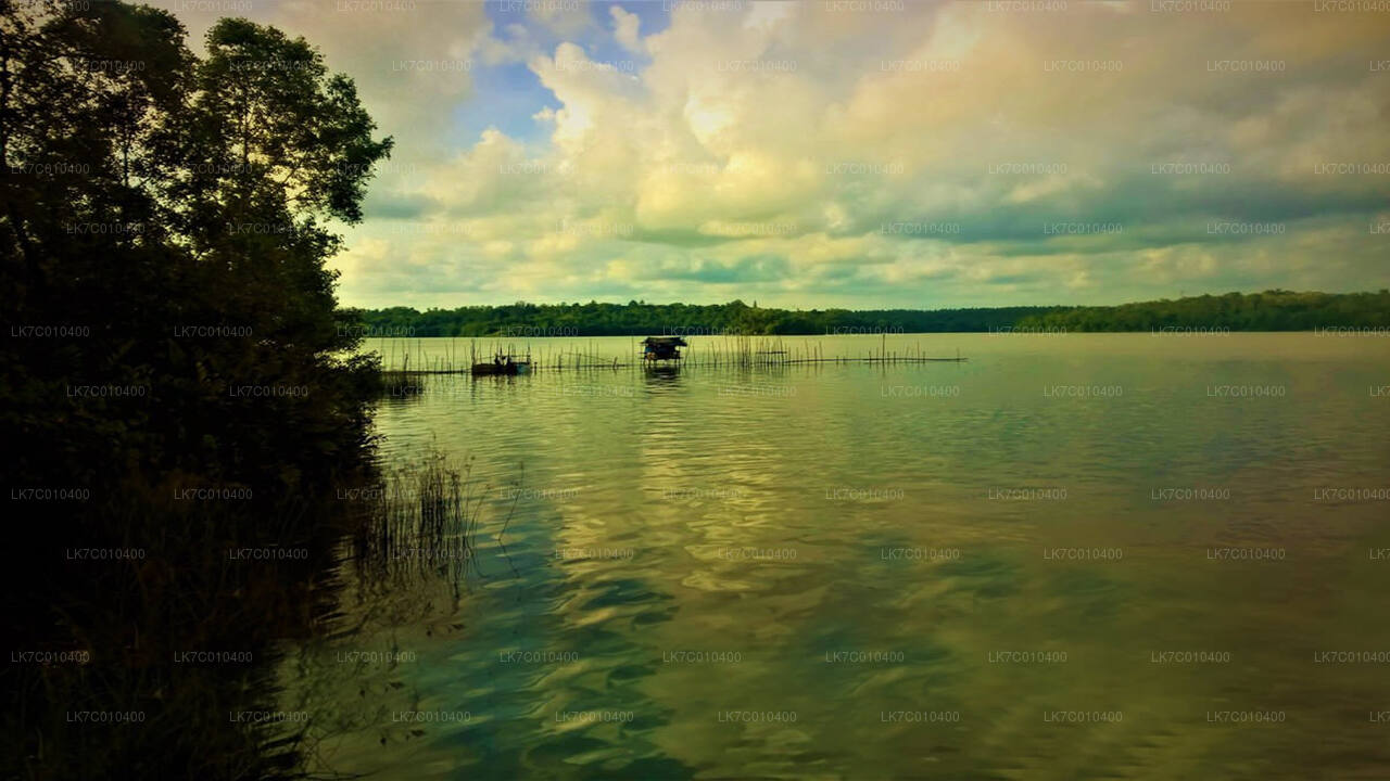 Lake Fishing with a BBQ Dinner from Colombo