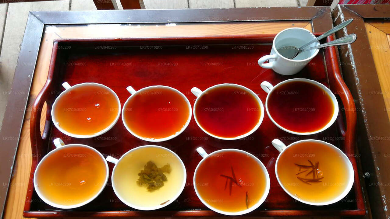 Ceylon Tea Tasting från Galle