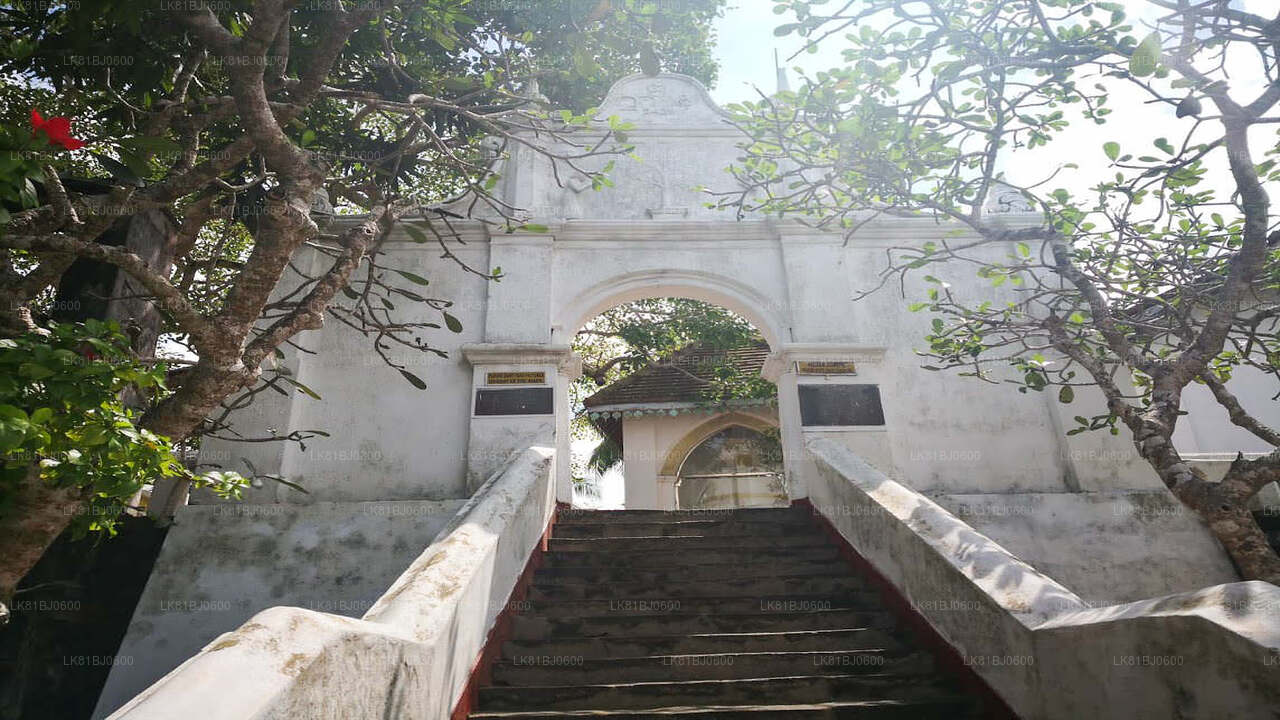 Bentota City Tour från Colombo hamn