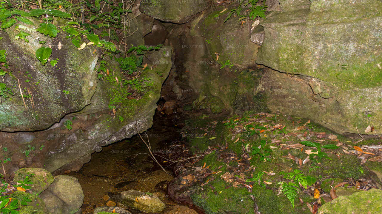 Utforska Pannila Cave från Colombo