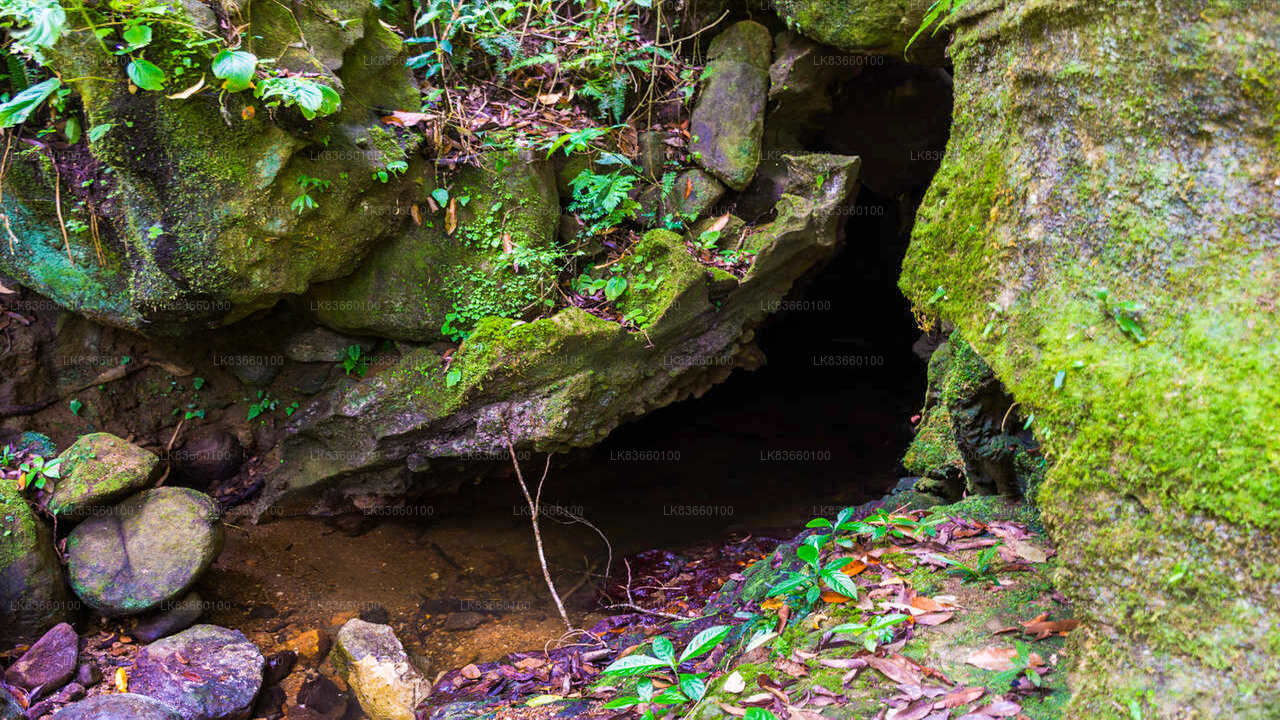 Utforska Pannila Cave från Mount Lavinia
