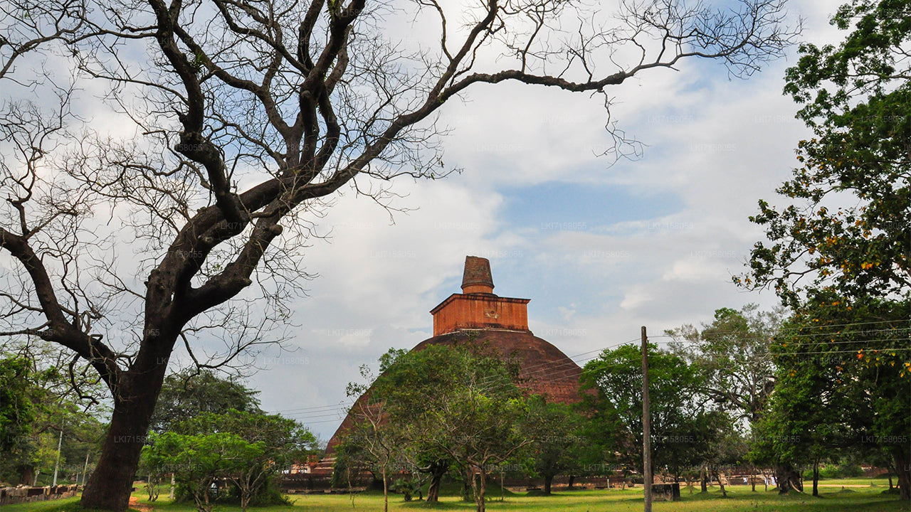 Andlig erfarenhet från Anuradhapura