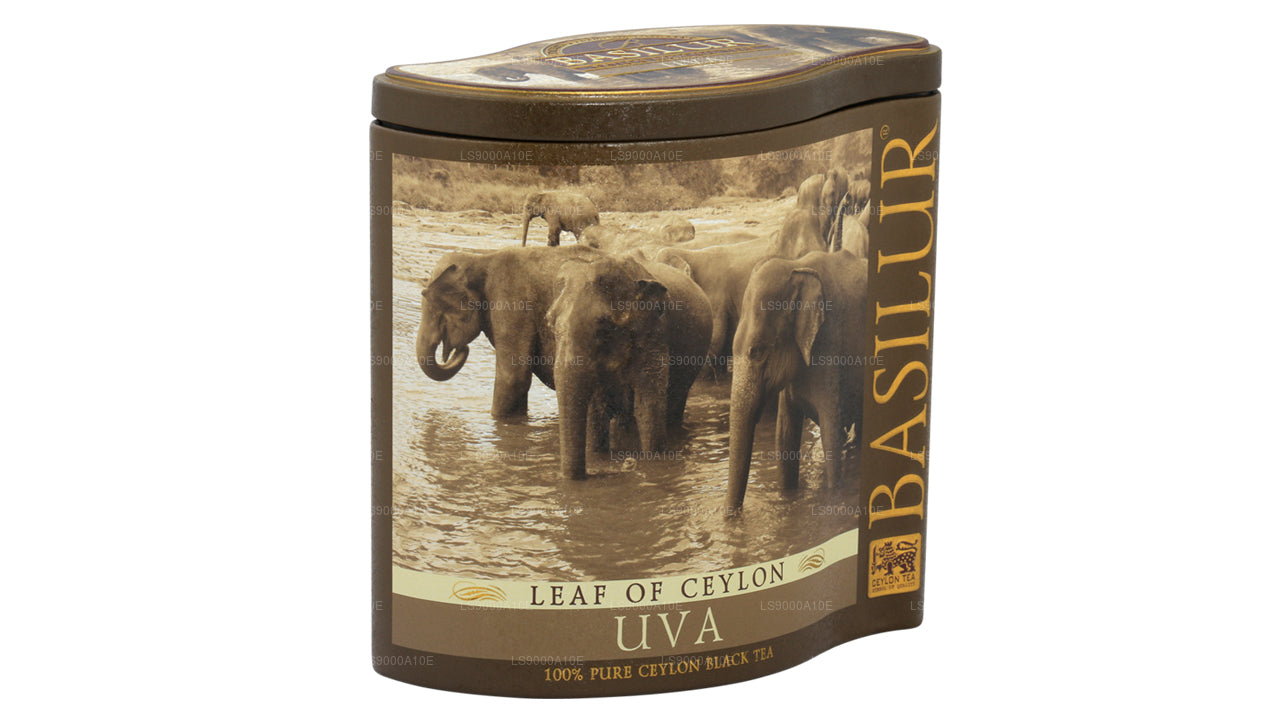 Basilur Leaf av Ceylon ”Uva” (100g) Caddy