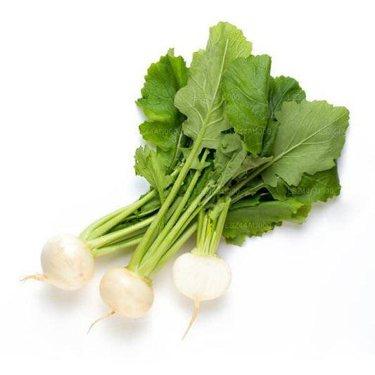 Radish () 250g