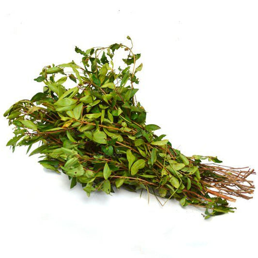 Bovitiya Leaves (125g)